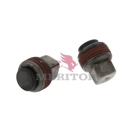 Differential Drain Plug