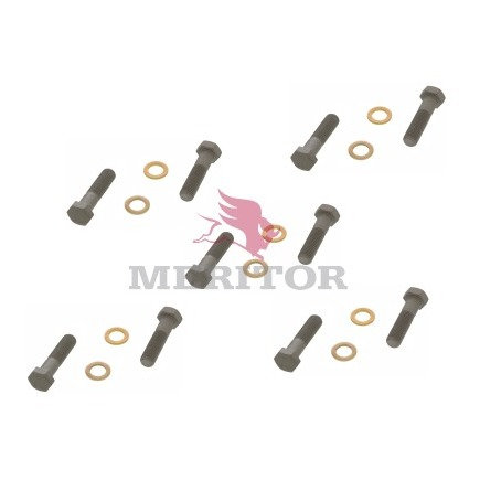 Disc Rim and Wheel Mounting Hardware