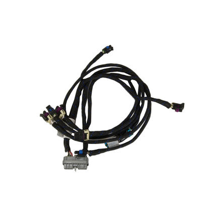 Manual Transmission Wiring Harness