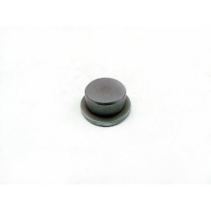 GMC C1500 Engine Camshaft Thrust Button