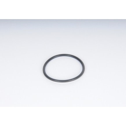 Chevrolet Express 3500 Fuel Pump O-Ring