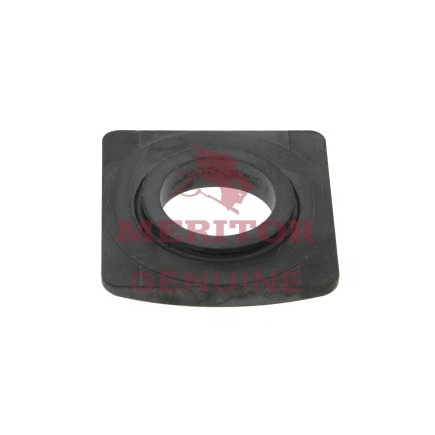Wheel Bearing Washer