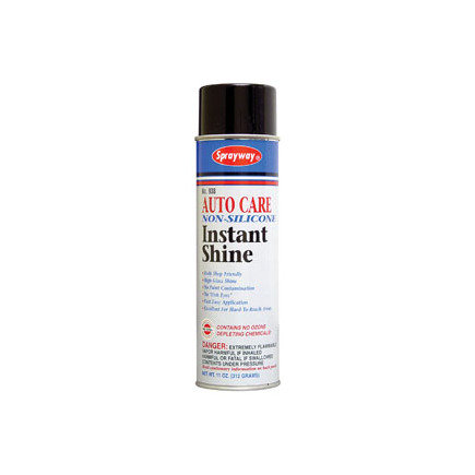 Paint Detailer