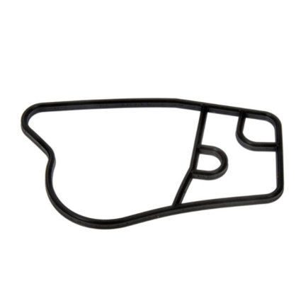 Fuel Pump Gasket