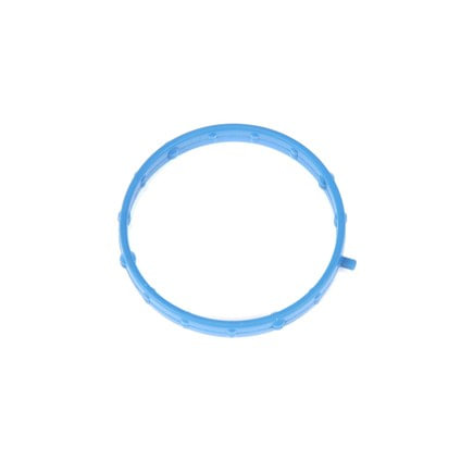 Fuel Injection Throttle Body Mounting Gasket
