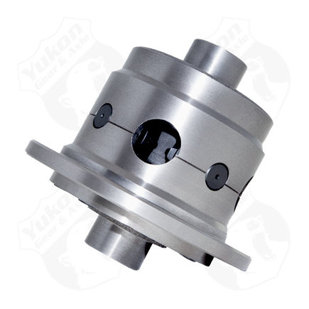 Limited Slip Differential Assembly