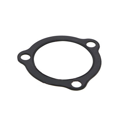 Steering King Pin Gasket