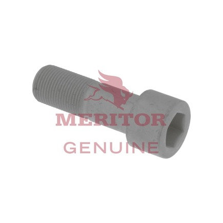 Disc Brake Caliper Pin Bolt