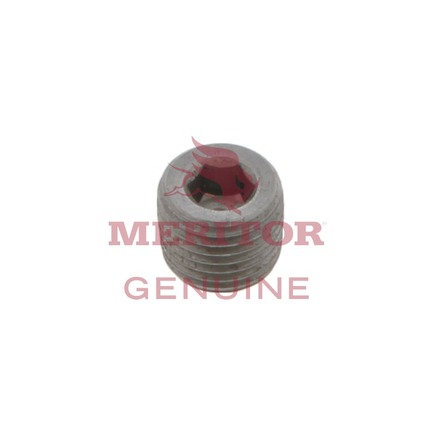 Transfer Case Oil Drain Plug