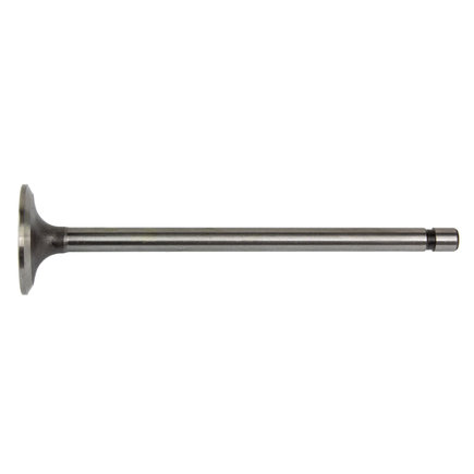Engine Exhaust Valve