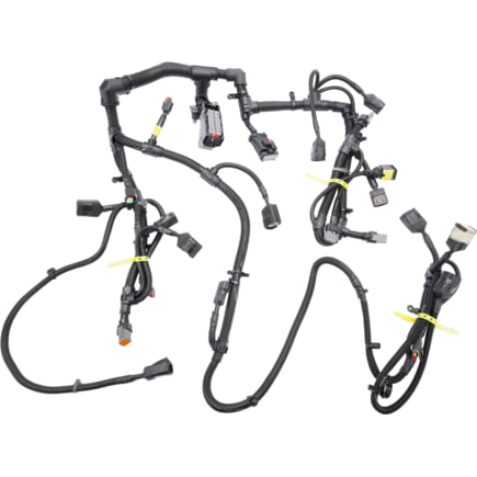 Engine Control Module (ECM) Wiring Harness