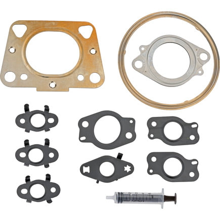 BorgWarner 59007110219