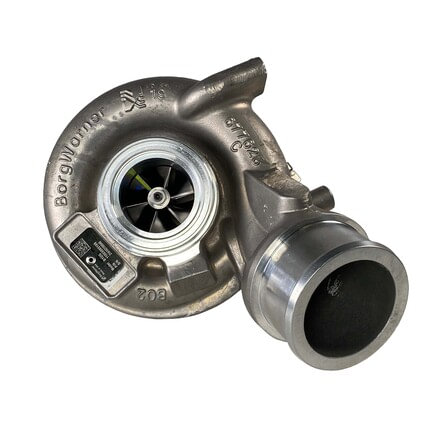 BorgWarner 11003095100