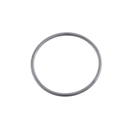 Exhaust Gas Recirculation (EGR) Valve O-Ring