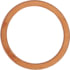 Cummins 3902425 Seal Ring / Washer Seal Ring / Washer