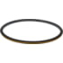 Cummins 3964189 Multi-Purpose Seal Multi-Purpose Seal