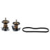 Alliant Power AP63498 Engine Coolant Thermostat NEW ENGINE COOLANT THERMOSTAT (PACK OF 2)