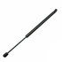 613404 by TUFF SUPPORT - Hatch Lift Support for HONDA