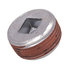 ppm16 by BUYERS PRODUCTS - Drain Plug - Magnetic with Square Socket