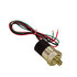 ps2575 by BUYERS PRODUCTS - 1/8in. NPTF Adjustable Pressure Switch Ranges From 25 To 75 PSI