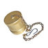 qddp122 by BUYERS PRODUCTS - Hydraulic Coupling / Adapter - Steel, with Chain for 3/4 in. NPTF