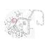 PAI 136021 Multi-Purpose Seal O-RING