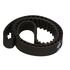 T244 by GATES - Premium Automotive Timing Belt