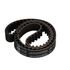 T117 by GATES - Premium Automotive Timing Belt