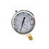 hpgs10 by BUYERS PRODUCTS - Multi-Purpose Pressure Gauge - Silicone Filled, Stem Mount, 0-10, 000 PSI