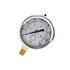 hpgs4 by BUYERS PRODUCTS - Multi-Purpose Pressure Gauge - Silicone Filled, Stem Mount, 0-4, 000 PSI