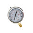 hpgs1 by BUYERS PRODUCTS - Multi-Purpose Pressure Gauge - Silicone Filled, Stem Mount, 0-1, 000 PSI