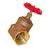 hgv200 by BUYERS PRODUCTS - Shut-Off Valve - 2 in. NPT, Smooth Brass, 200 PSI