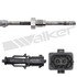 1003-1091 by WALKER PRODUCTS - Walker Products HD 1003-1091 Exhaust Gas Temperature (EGT) Sensor
