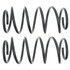 81040 by MOOG - Coil Spring Set