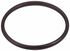 C31302 by VICTOR - WATER OUTLET GASKET