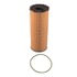 X10254 by ECOGARD - OIL FILTER