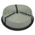 ECOGARD XA4361 Engine Air Filter Air Filter