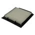 ECOGARD XC35562 Cabin Air Filter