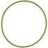 Victor G31955 Throttle Body Gasket