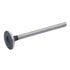 F89BM6505CA by RELIANCE POWER PRODUCTS - Exhaust Valve