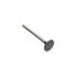 G10A17913 by RELIANCE POWER PRODUCTS - Intake Valve