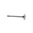 NR43883 by RELIANCE POWER PRODUCTS - Intake Valve