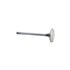 NR98062 by RELIANCE POWER PRODUCTS - Intake Valve