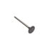 NT12356 by RELIANCE POWER PRODUCTS - Intake Valve