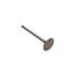 NT25466 by RELIANCE POWER PRODUCTS - Intake Valve