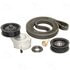 Hayden 5780 Accessory Drive Belt Tensioner Pulley Kit