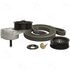 Hayden 5780 Accessory Drive Belt Tensioner Pulley Kit