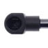 6589 by STRONG ARM LIFT SUPPORTS - Liftgate Lift Support