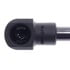 6632 by STRONG ARM LIFT SUPPORTS - Liftgate Lift Support