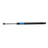6842 by STRONG ARM LIFT SUPPORTS - Liftgate Lift Support